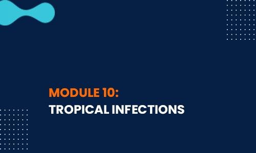 tropical-infections.jpg