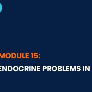 Endocrine problems in ICU